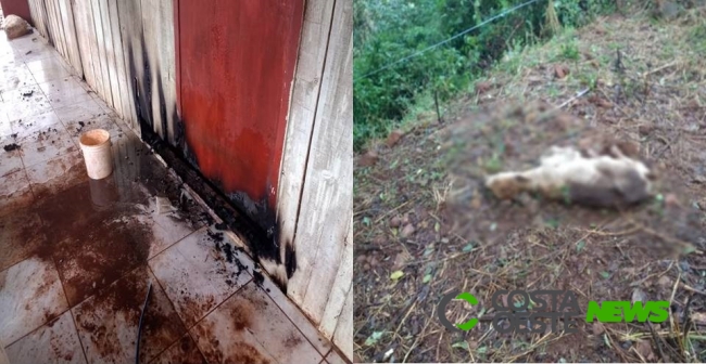 Homem é preso em flagrante pela PM após atear fogo e atirar contra residência  