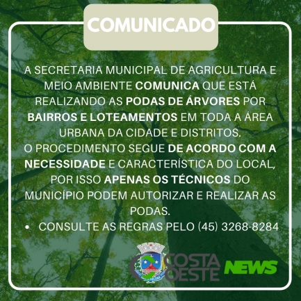 Meio Ambiente esclarece determinações para podas de árvores em Santa Helena