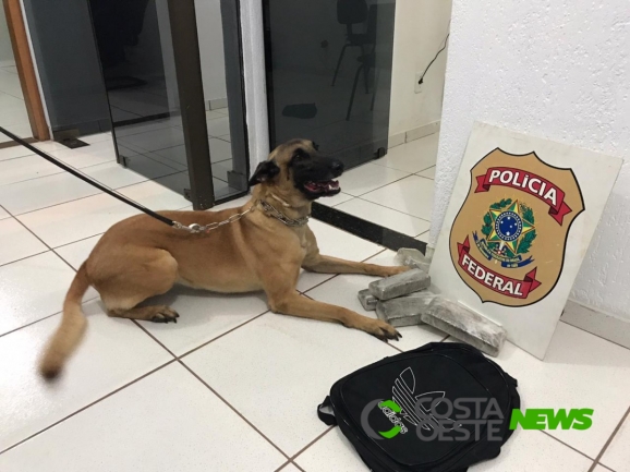 Polícia Federal prende homem em flagrante por tráfico de drogas na BR-277, em Céu Azul
