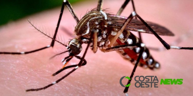 Foz do Iguaçu registra 7º óbito por dengue