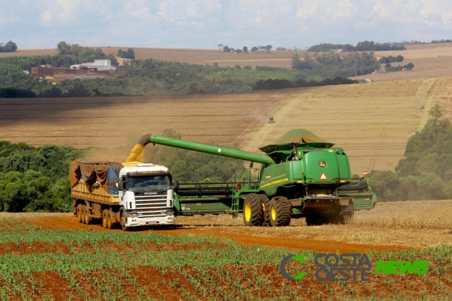Safra de grãos do Estado deve atingir 41 milhões de toneladas