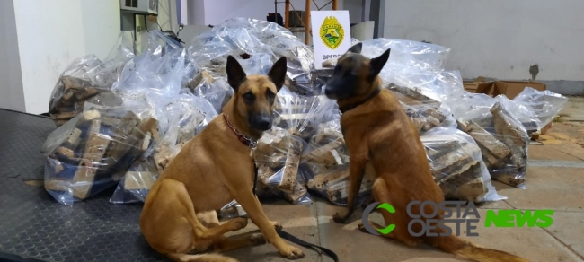 Cão do BPFron encontra mais de meia tonelada maconha em meio a fezes de animais