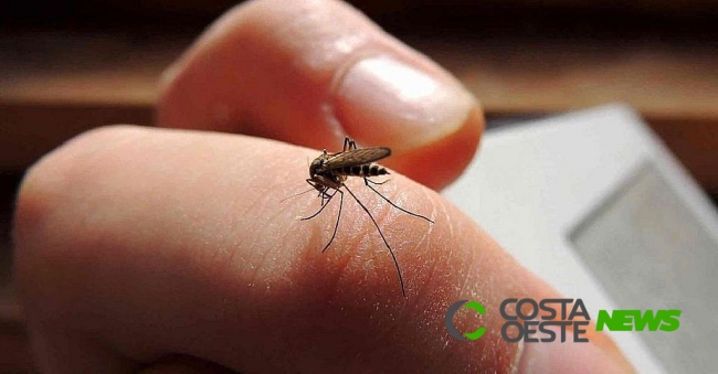 Foz do Iguaçu registra 8º óbito por dengue