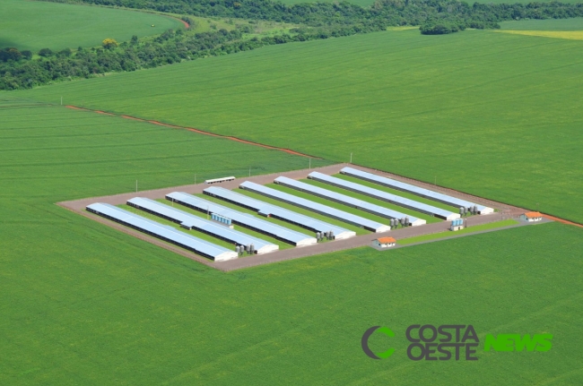 Descomplica Rural ajuda a manter atividades no campo durante a crise