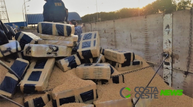 PRF bate recorde e apreende 66 toneladas de drogas no Paraná durante o 1º semestre