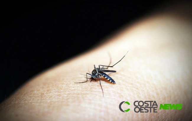 Itaipulândia registra queda de casos notificados de dengue