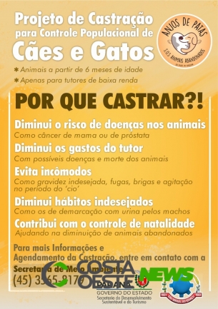 São Miguel do Iguaçu inicia cadastro de cães e gatos para castração 