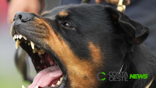 Criança de três anos é morta por cachorro rottweiler em Itaipulândia