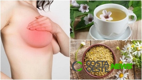 5 remédios naturais para acalmar a dor nos seios