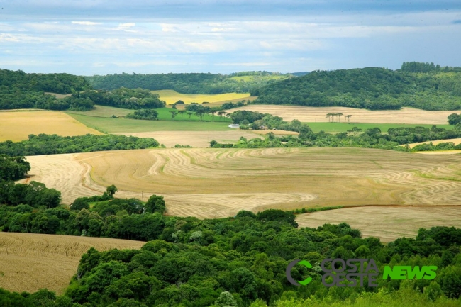 Preço das terras no Paraná cresceu cerca de 12% este ano