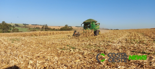 Expedição Costa Oeste: Colheita do milho avança na região e família aposta no aluguel de máquinas agrícolas