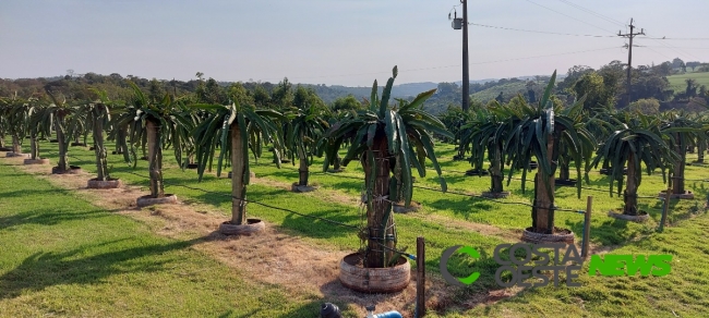 Expedição Costa Oeste visita o Paraíso das Pitayas em Matelândia