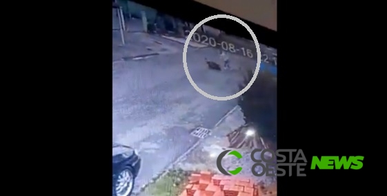 Para separar briga, casal mata cão a golpes de enxada e caso vai parar na polícia; imagens fortes