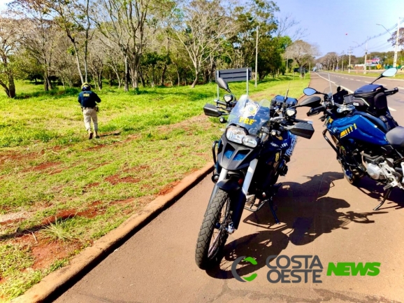 Tucano ???pega carona??? em motocicleta da PRF em Foz do Iguaçu; vídeo