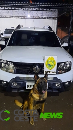 BPFron recupera em Santa Helena Renault Duster com dispositivo de fumaça roubada em Curitiba