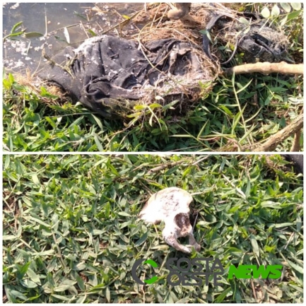 Ossada humana é encontrada em açude no interior de Santa Helena