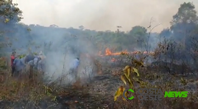 Produtor vê 1.500 hectares de sua fazenda serem dizimados por incêndio em MT