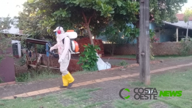 LIRAa aponta índice larval de 3,2% e Santa Helena está em médio risco de contaminação da dengue