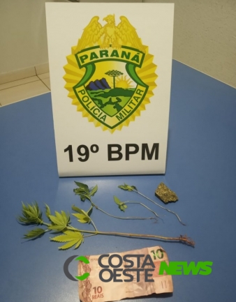 Denúncia de plantio de maconha termina com um preso em Santa Helena