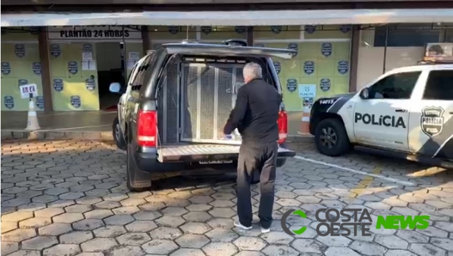 Homem invade residência e estupra mulher de 25 anos em Foz do Iguaçu