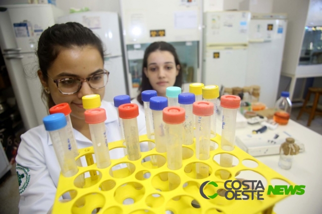 Paraná autoriza aulas presenciais dos últimos anos de cursos da Saúde