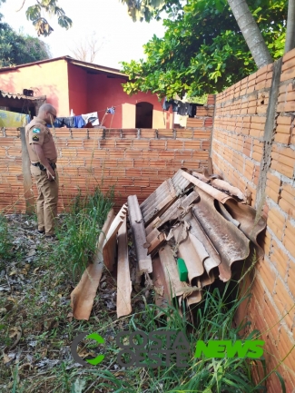 Homem encontra maconha nos fundos de sua casa e acionada a polícia em Santa Helena