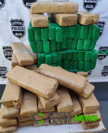 Após denúncia, polícia apreende maconha em Santa Helena