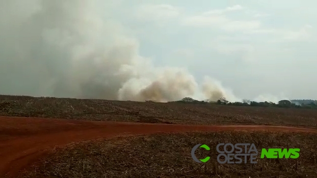 Quatro incêndios ambientais são registrados em um dia em Guaíra