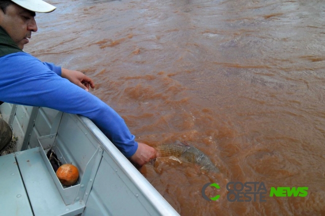Resolução proíbe pesca de espécies nativas no Paraná antes de iniciar a piracema