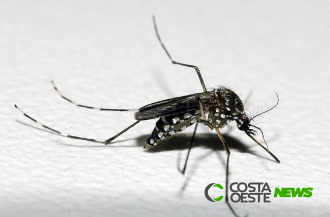 Foz registra primeira morte por dengue do ano epidemiológico