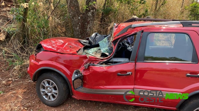 Morador de Serranópolis morre após colidir com veículo em árvore na PR 495