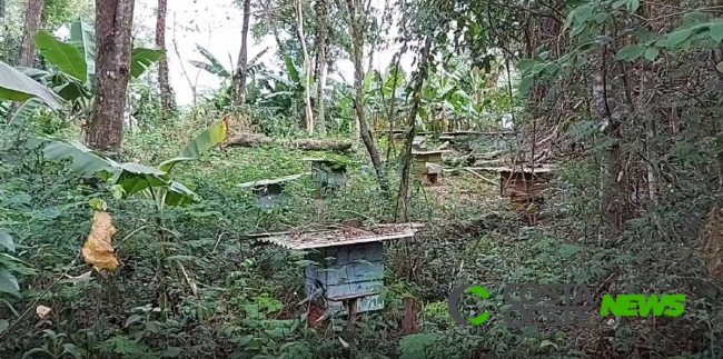 Expedição Costa Oeste: Pequenos agricultores começam aplicar conceito de agroecologia