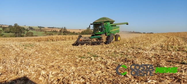 Profissionais da agricultura de Guaíra se reúnem para avaliar safra 