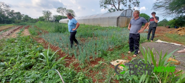 Expedição Costa Oeste: Casal deixa cidade para se dedicar a produção de orgânicos