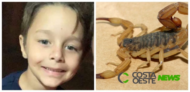 Menino de 5 anos morre após ser picado por escorpião amarelo no Paraná