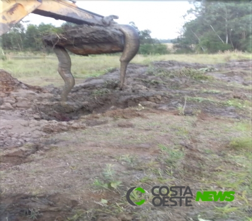 Produtor rural de Santa Helena encontra Sucuri em escavação