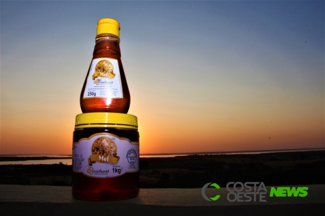 Preço do mel alcança alta histórica na região Oeste do Paraná