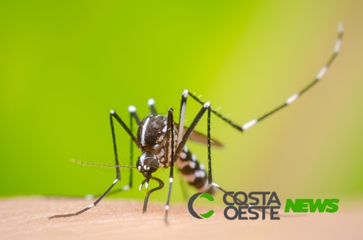 Com as altas temperaturas a população deve ficar atenta aos cuidados com a dengue