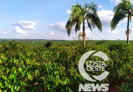 Expedição Costa Oeste 90 Café 