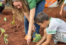 Construção de fossa ecológica