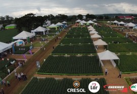 Dia de Campo Lar abre temporada 2023 do agronegócio no Oeste paranaense