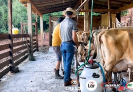 Cooperativismo muda vidas e leite da agricultura familiar se transforma em iogurte de alta qualidade