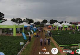 Dia de Campo Lar abre temporada 2023 do agronegócio no Oeste paranaense