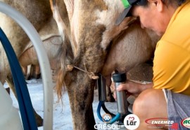 Expedição Costa Oeste: das pastagens ao iogurte, o cooperativismo está fazendo a diferença 
