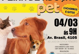 Assessoria Medianeira