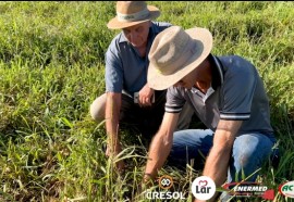 Expedição Costa Oeste: das pastagens ao iogurte, o cooperativismo está fazendo a diferença 