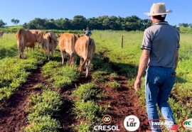 Expedição Costa Oeste: das pastagens ao iogurte, o cooperativismo está fazendo a diferença 