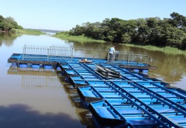 Créditos: Assessoria Guaíra