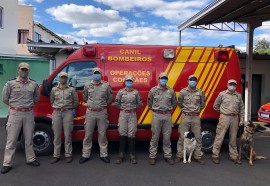 Créditos: Assessoria Corpo de Bombeiros Paraná - Francisco Beltrão