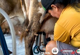 Cooperativismo muda vidas e leite da agricultura familiar se transforma em iogurte de alta qualidade